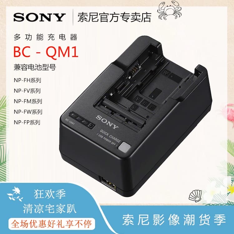 Sony BC-QM1 original charger FV70 100A charging AX60 45 AX700 AX100E 40